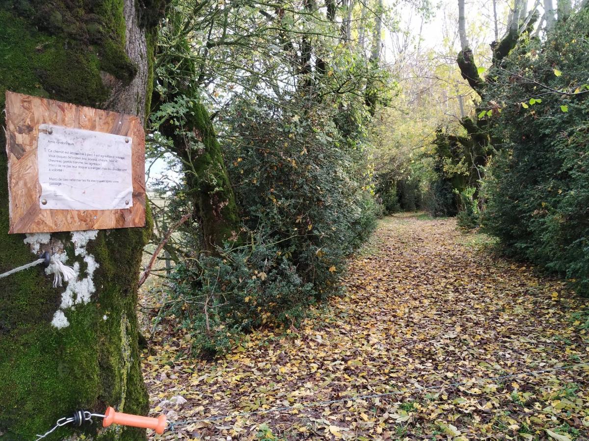 Le chemin de randonnée qui part du hameau, tapissé de feuilles d'automne