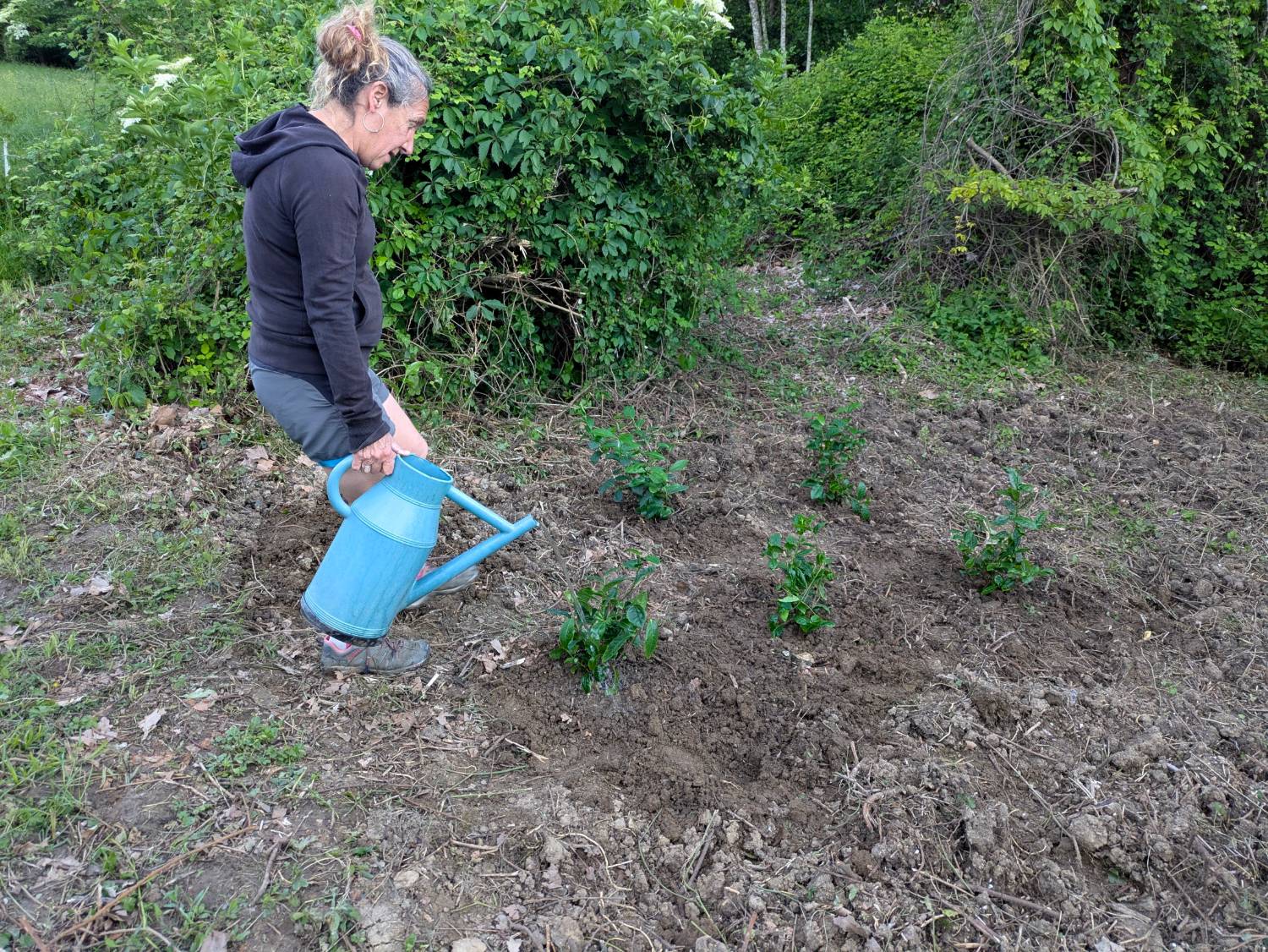 Valérie arrosant les jeunes plants